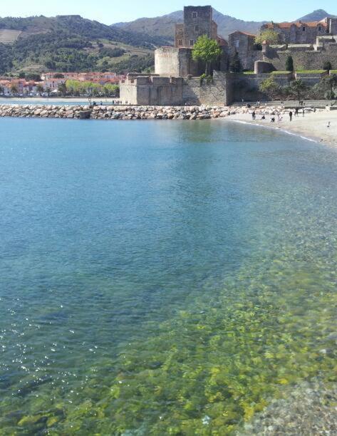 Charme A 20 M De La Plage Centre Village Collioure Bagian luar foto