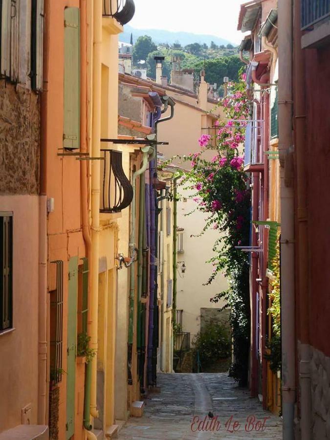 Charme A 20 M De La Plage Centre Village Collioure Bagian luar foto