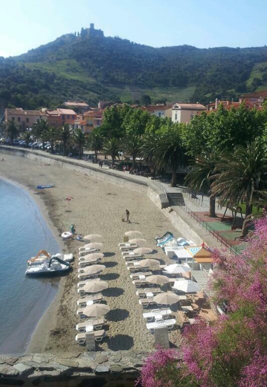 Charme A 20 M De La Plage Centre Village Collioure Bagian luar foto